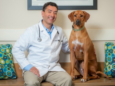 Doctors of Wake Vet Hospital & Urgent Care - Greater Raleigh NC